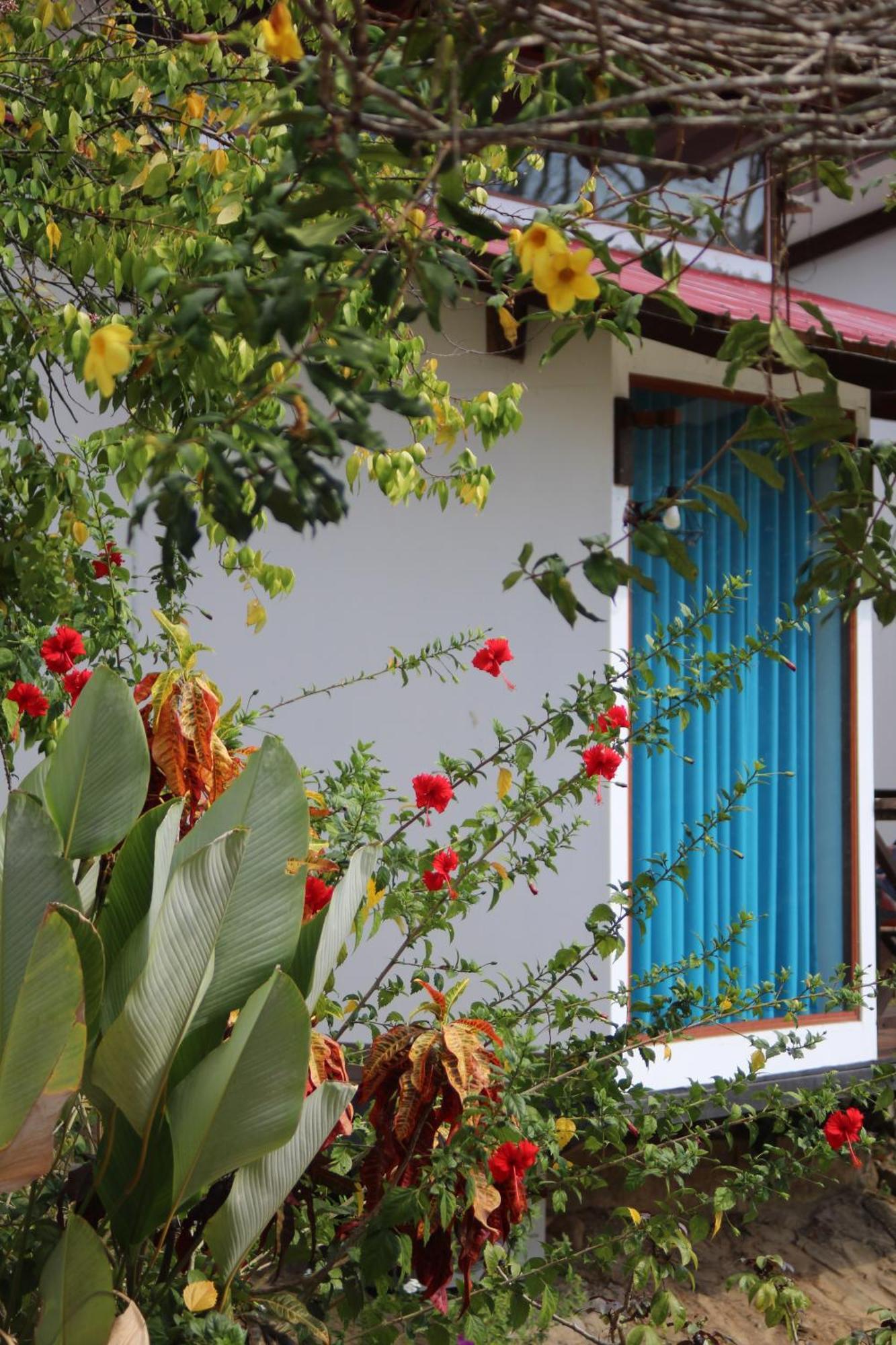Hacienda Don Vicente Bungalows-ตาราโปโต ภายนอก รูปภาพ